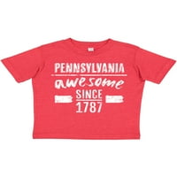 Инктастичен Пенсилвания страхотно, тъй като подарък малко момче или малко момиче тениска