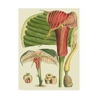 Търговска марка изобразително изкуство 'ботаническа фантазия' платно изкуство от неизвестен автор
