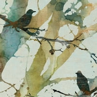 Ботанически птици втори от Карол Робинсън платно изкуство печат 18 24