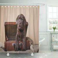Зелен шоколадов студио портрет кученце кафяв лабрадор на цветна завеса за душ