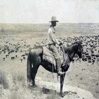 Тексаски каубой на кон на кок, гледащ към стадо добитък в историята на обхвата