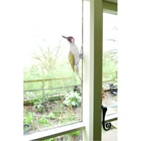 Labakihah Decor Decor Peel and Stick Wallpaper Green Woodpecker Sticker Sticker