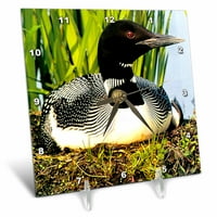 Loon Duck Desk Clock DC-709-1