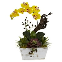 Почти естествена орхидея и сочна градина с бяла Сеялка