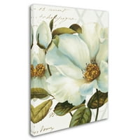 Изящно изкуство 'Бяло флорално блаженство Иии Кроп' платно изкуство от Лиза одит