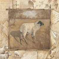 Печат на овце плакат от Анита Филипс