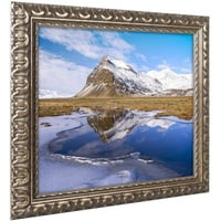 Изкуство 'ледено огледало' платно изкуство от Майкъл Бланшет фотография, Златна орнаментирана рамка