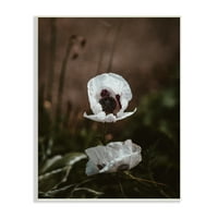 Ступел индустрии самотен бяло цвете цвят Гора фотография 19, дизайн от Инкадо