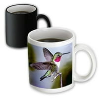 3Drose Hummingbird, Bird - Magic Transforming Mug, 11 -унция