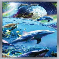 Джеймс Букър - Плакат за стена на космически делфини, 22.375 34 FRAMED
