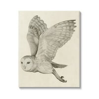 Ступел индустрии летящи хамбар бухал крила подробни монохромен рисуване платно стена изкуство, 30, дизайн от Грейс Поп