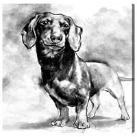 Уинууд студио Животни Пано Принт 'дакел' кучета и кученца - Черно, бяло