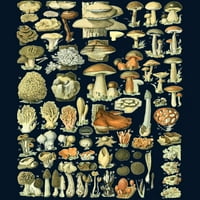 Гъби - Ботаническа илюстрация Арт тъмносин графичен пуловер качулка - Дизайн от хора l
