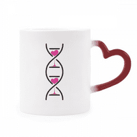 Часовници любов двойна хели ген, чувствителна към чаша червен цвят смяна на каменни изделия чаша