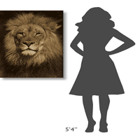 Глобална галерия Сан Диего зоопарк, „Африкански лъв мъжки портрет, родом от Африка - Сепия“ опънато платно произведение на изкуството