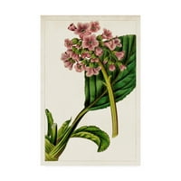 Търговска марка изящно изкуство 'мораво ботаническо изкуство' платно изкуство от неизвестен автор