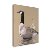 Изящно изкуство 'Самотната гъска' платно изкуство от Ръсти Френтнър