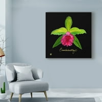 Търговска марка изобразително изкуство 'жива орхидея и' платно изкуство от Джини Джойнър
