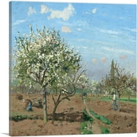 Овощна градина в Bloom Louveciennes Canvas Art Print от Camille Pissarro - Размер: 12 12