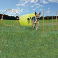 Външен Hound Zip & Zoom Outdoor Dog Agility Training Kit за кучета на открито оранжево