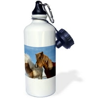 3 Исландия. Исландски коне., Спортна бутилка за вода, 21оз