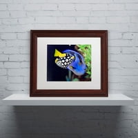Търговска марка изобразително изкуство пъстра тропическа риба платно изкуство от Курт Шафър, бял мат, дърво рамка