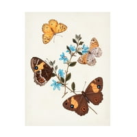 Непознато 'Пеперуди И Молци Аз' Платно Изкуство