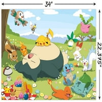 Pokémon - Групов плакат за пикник, 22.375 34