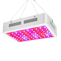 600W двойни чипове 380-730nm Пълен светлинен спектър LED лампа за растеж на растежа бяла
